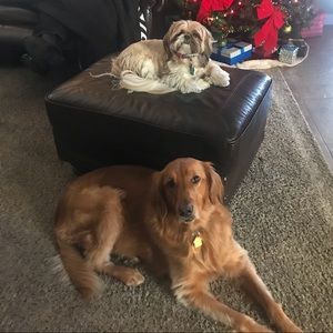 Meet your Posher, Annette